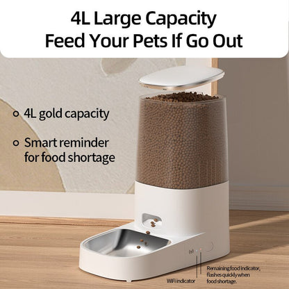 Automatic Cat Feeder & Smart Pet Food Dispenser